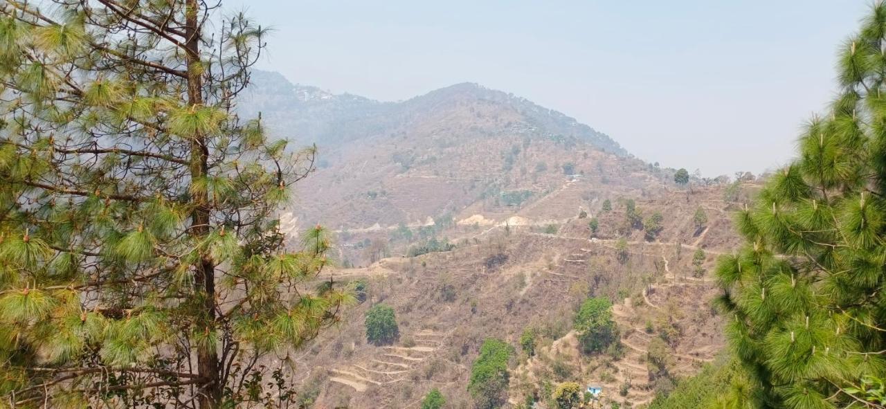 Blue Pine Orchards - Villas Lansdowne Ngoại thất bức ảnh