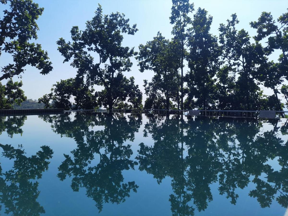 Blue Pine Orchards - Villas Lansdowne Ngoại thất bức ảnh