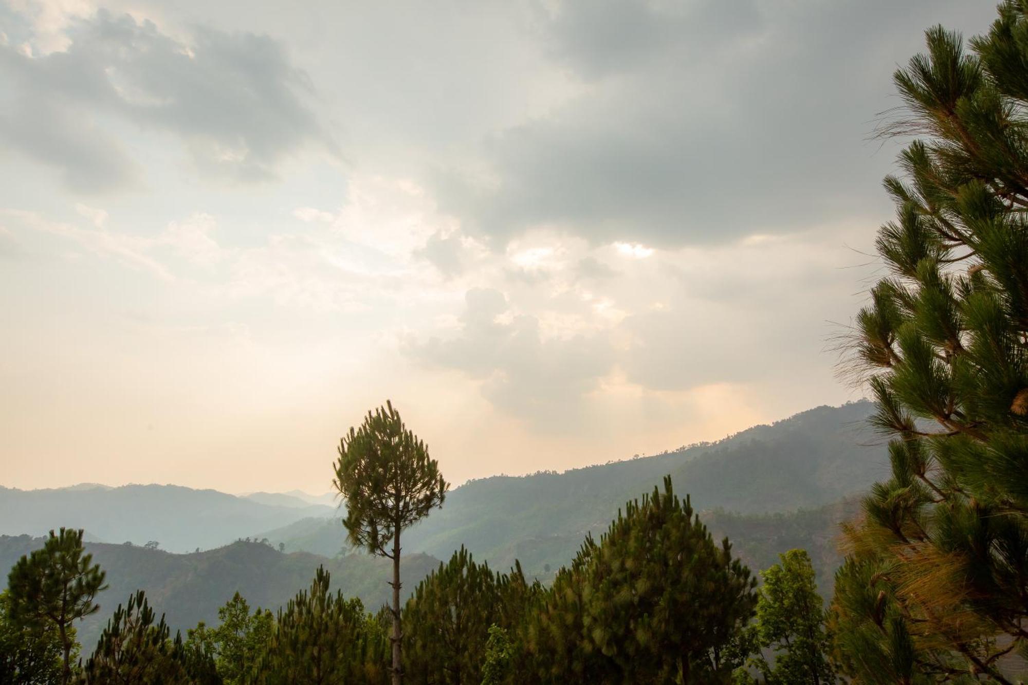 Blue Pine Orchards - Villas Lansdowne Ngoại thất bức ảnh