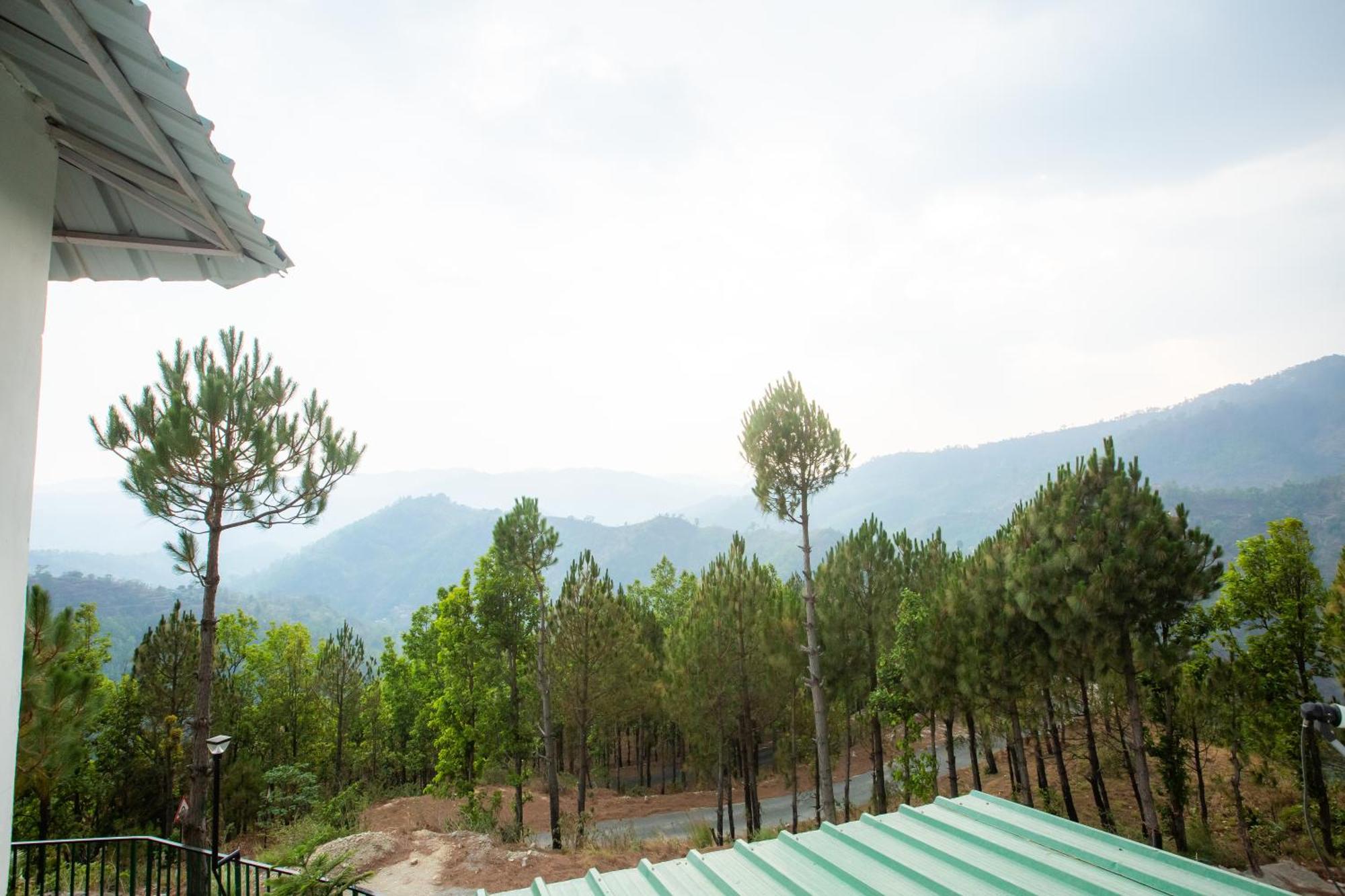 Blue Pine Orchards - Villas Lansdowne Ngoại thất bức ảnh